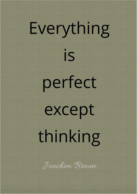 Everything is perfect except thinking.